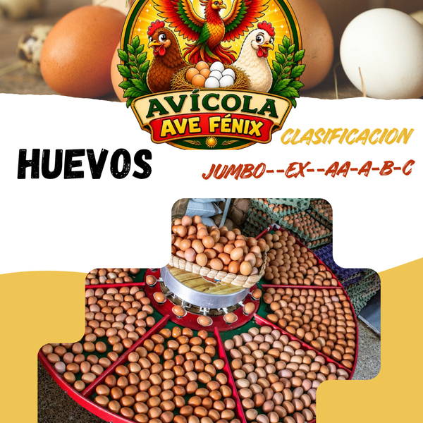 Huevos